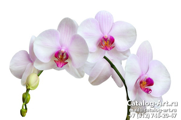 картинки для фотопечати на потолках, идеи, фото, образцы - Потолки с фотопечатью - Белые орхидеи 53
